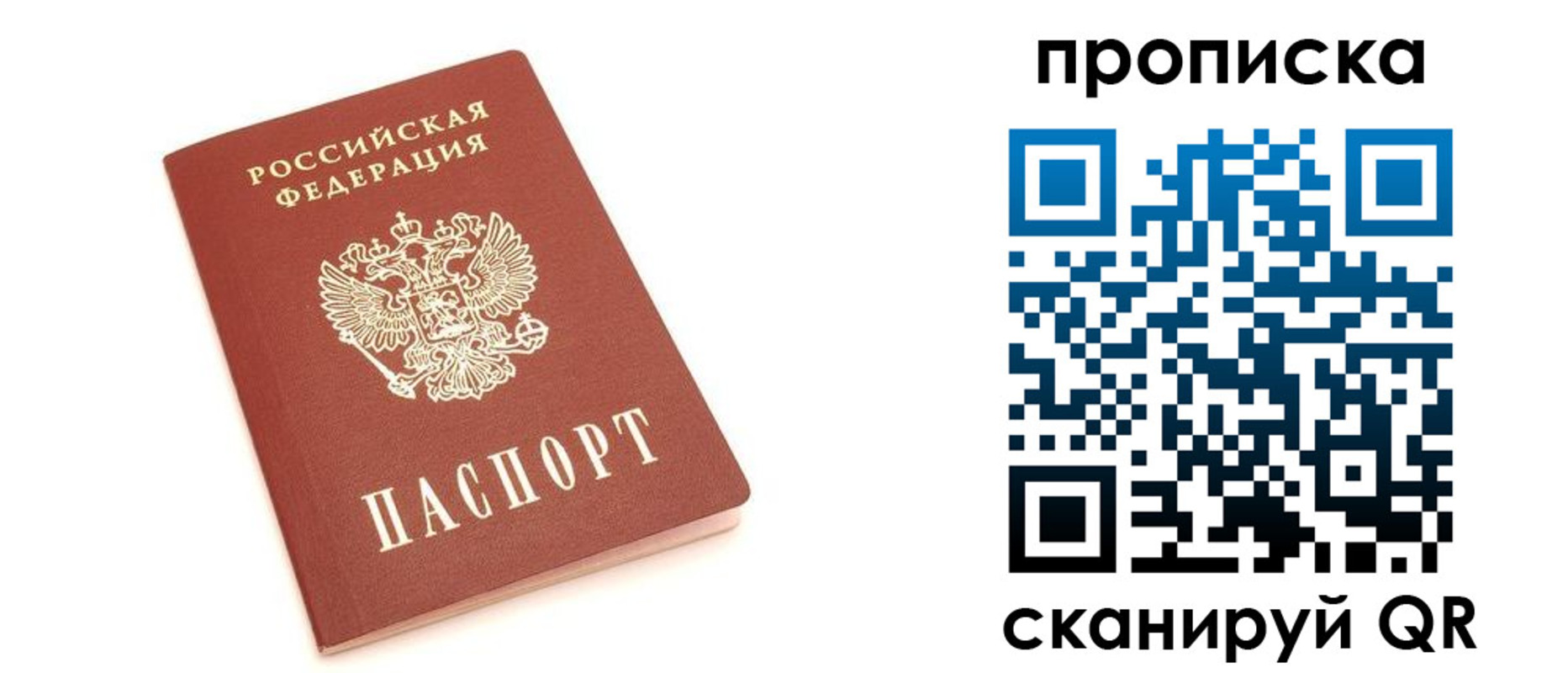 прописка 2025 в Покрове